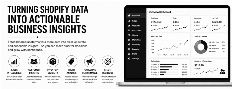 From Data Chaos to Smart Decisions: The Future of Shopify Insights