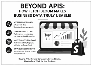 Beyond APIs: Making Shopify Business Data Truly Usable 