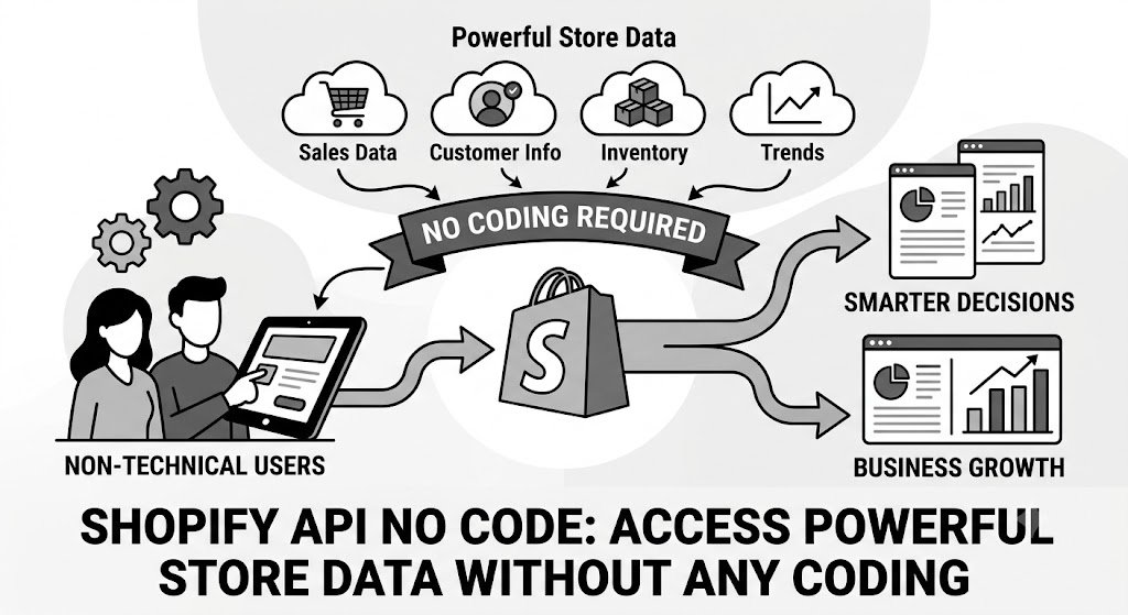 Shopify API No Code: Access Powerful Store Data Without Any Coding